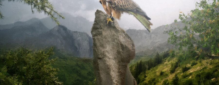 erlinews.wpbromo.com