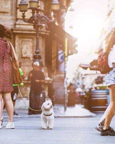 erlinews.wpbromo.com