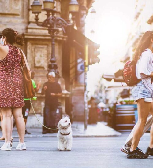 erlinews.wpbromo.com