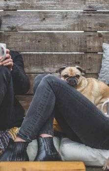 erlinews.wpbromo.com